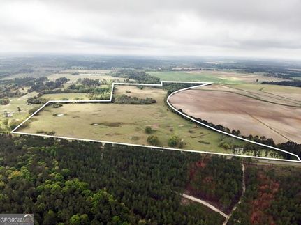 Hunting Land for sale in Mitchell County, Georgia