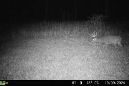 Property for sale in Mercer County, Illinois