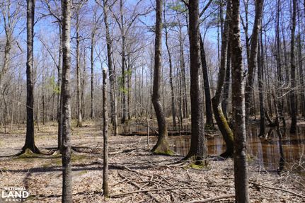 Property in Dallas County, Arkansas