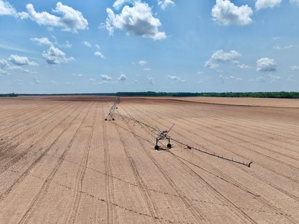 Farm Property for sale in Pulaski County, Georgia