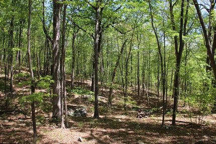 Property in Page County, Virginia