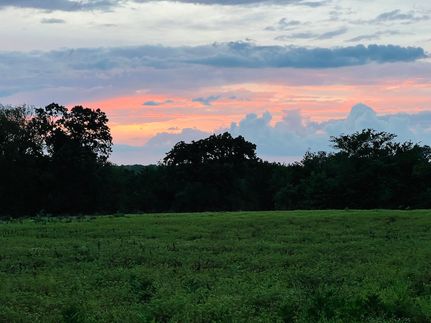 Property for sale in Fayette County, Tennessee