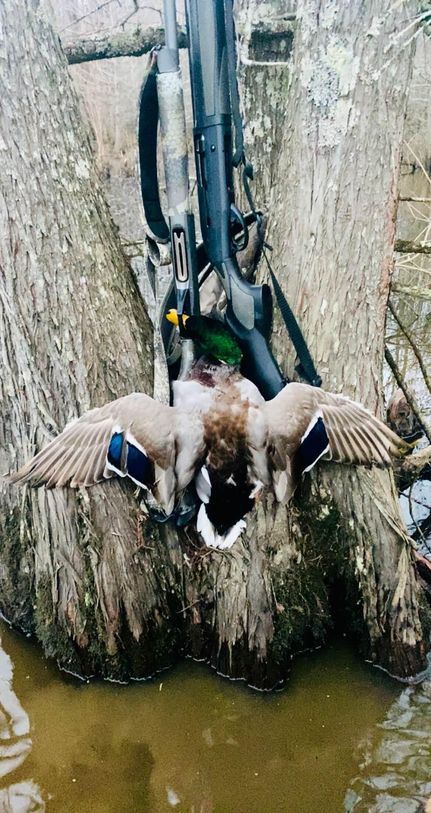 Property for sale in Alcorn County, Mississippi