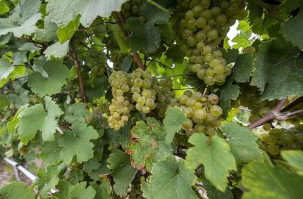 Property for sale in Erie County, Pennsylvania