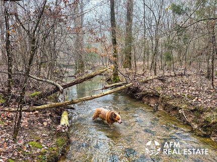 Property in Sevier County, Arkansas