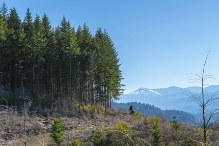 Property in Marion County, Oregon