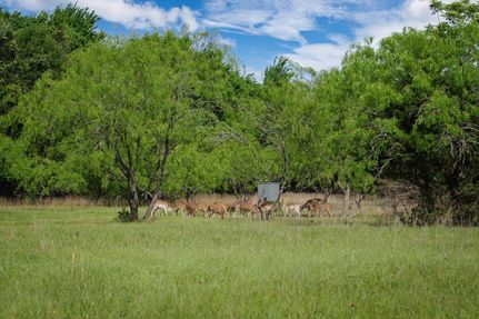 Ranch Property for sale in Falls County, Texas