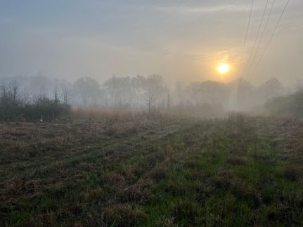 Residential Property for sale in Red River County, Texas