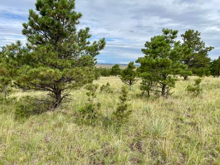 Property for sale in Elbert County, Colorado