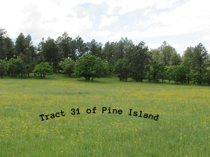 Timberland Property for sale in Crook County, Wyoming