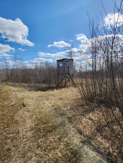 Undeveloped Land for sale in Gladwin County, Michigan