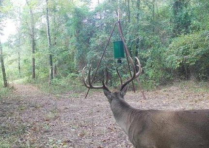 Property for sale in Choctaw County, Oklahoma