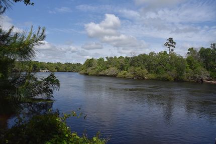 Riverfront Property for sale in Dixie County, Florida