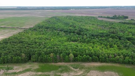 Undeveloped Land for sale in Coahoma County, Mississippi
