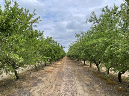 Property for sale in Fresno County, California