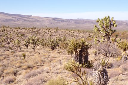 Property for sale in Mohave County, Arizona