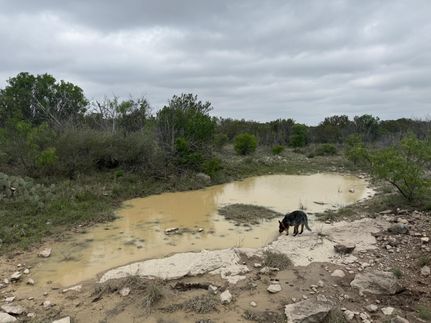 Property for sale in Crockett County, Texas