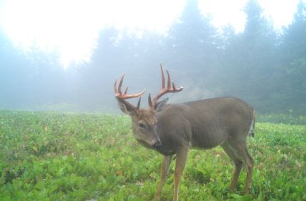 Property in Tioga County, New York
