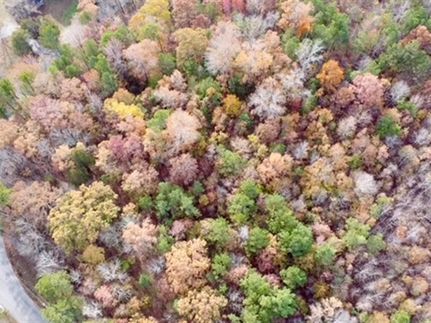 Residential Property for sale in Morgan County, Alabama