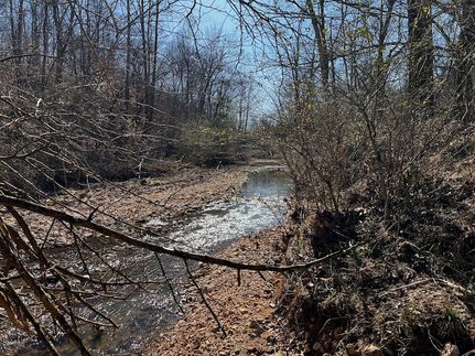 Property in Stewart County, Tennessee