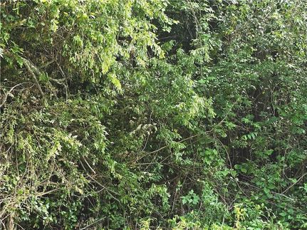 Property in Russell County, Alabama