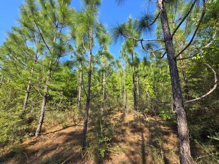 Undeveloped Land for sale in Baldwin County, Alabama
