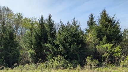 Property for sale in Athens County, Ohio