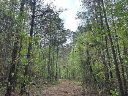 Property for sale in Choctaw County, Mississippi