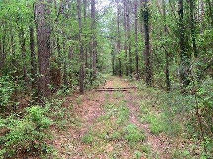 Property for sale in Columbia County, Arkansas