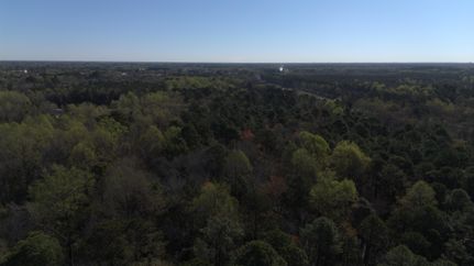 Undeveloped Land for sale in Cumberland County, North Carolina