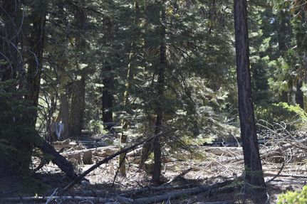 Property in Modoc County, California