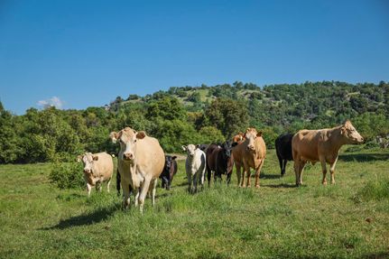 Property for sale in Tulare County, California