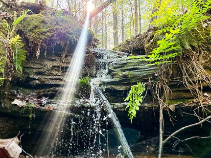 Property in Winston County, Alabama