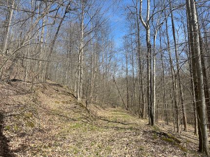 Property for sale in Lincoln County, West Virginia