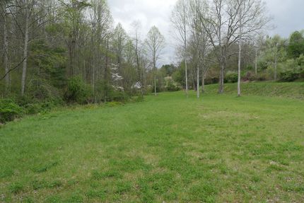 Timberland Property for sale in Carroll County, Virginia
