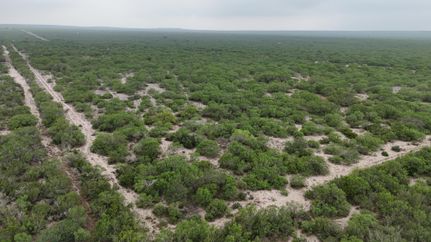 Property in Duval County, Texas