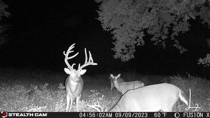 Property in Montgomery County, Kansas