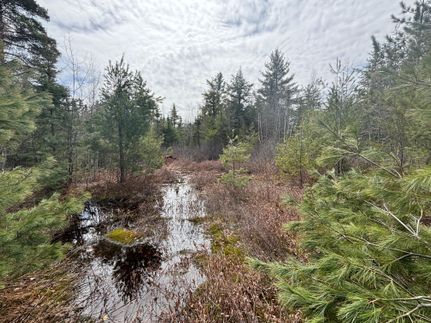 Property for sale in Chippewa County, Michigan