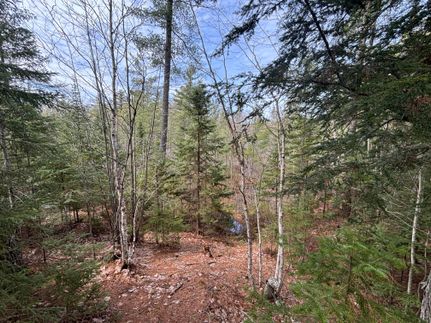 Property for sale in Chippewa County, Michigan