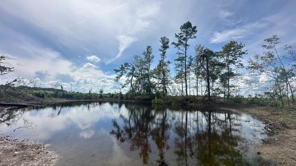 Property in Lincoln County, Arkansas