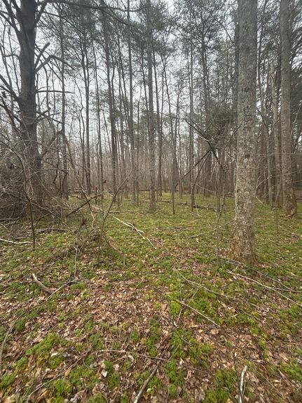 Property in Rutherford County, North Carolina