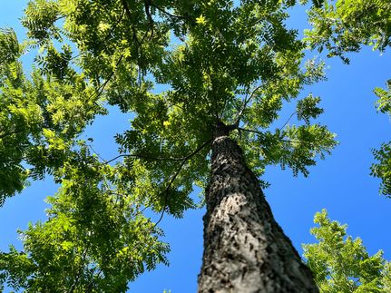 Property in Clinton County, Iowa