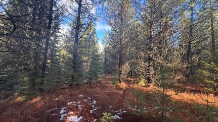 Residential Property for sale in Clearwater County, Idaho