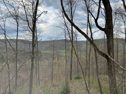 Undeveloped Land for sale in McKean County, Pennsylvania