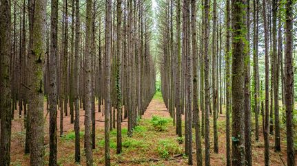 Recreational Property for sale in White County, Arkansas