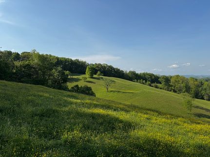 Property for sale in Grainger County, Tennessee