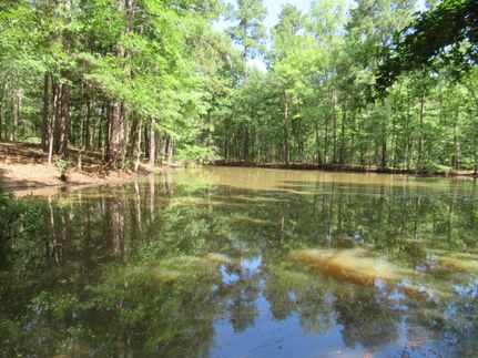 Property for sale in Nacogdoches County, Texas