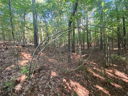 Property for sale in LaSalle Parish, Louisiana