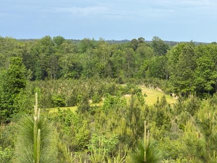 Property for sale in Clarke County, Alabama