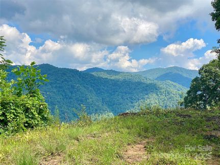 Property for sale in Madison County, North Carolina